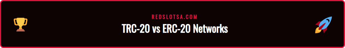 An infographic comparing the transaction fees and speeds of the TRC-20 and ERC-20 networks for USDT transfers.
